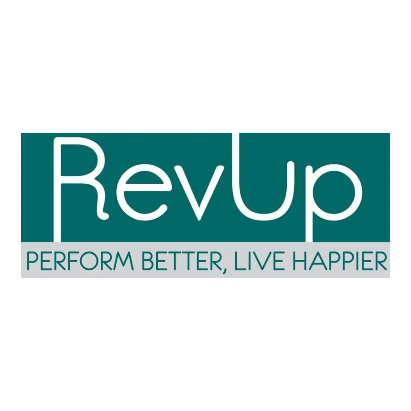 Partner logo 9
